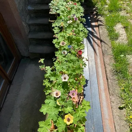 Le Cocon Du Potier Dambach