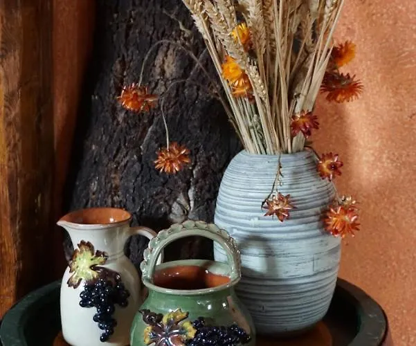 Le Cocon Du Potier Holiday home Dambach-la-Ville